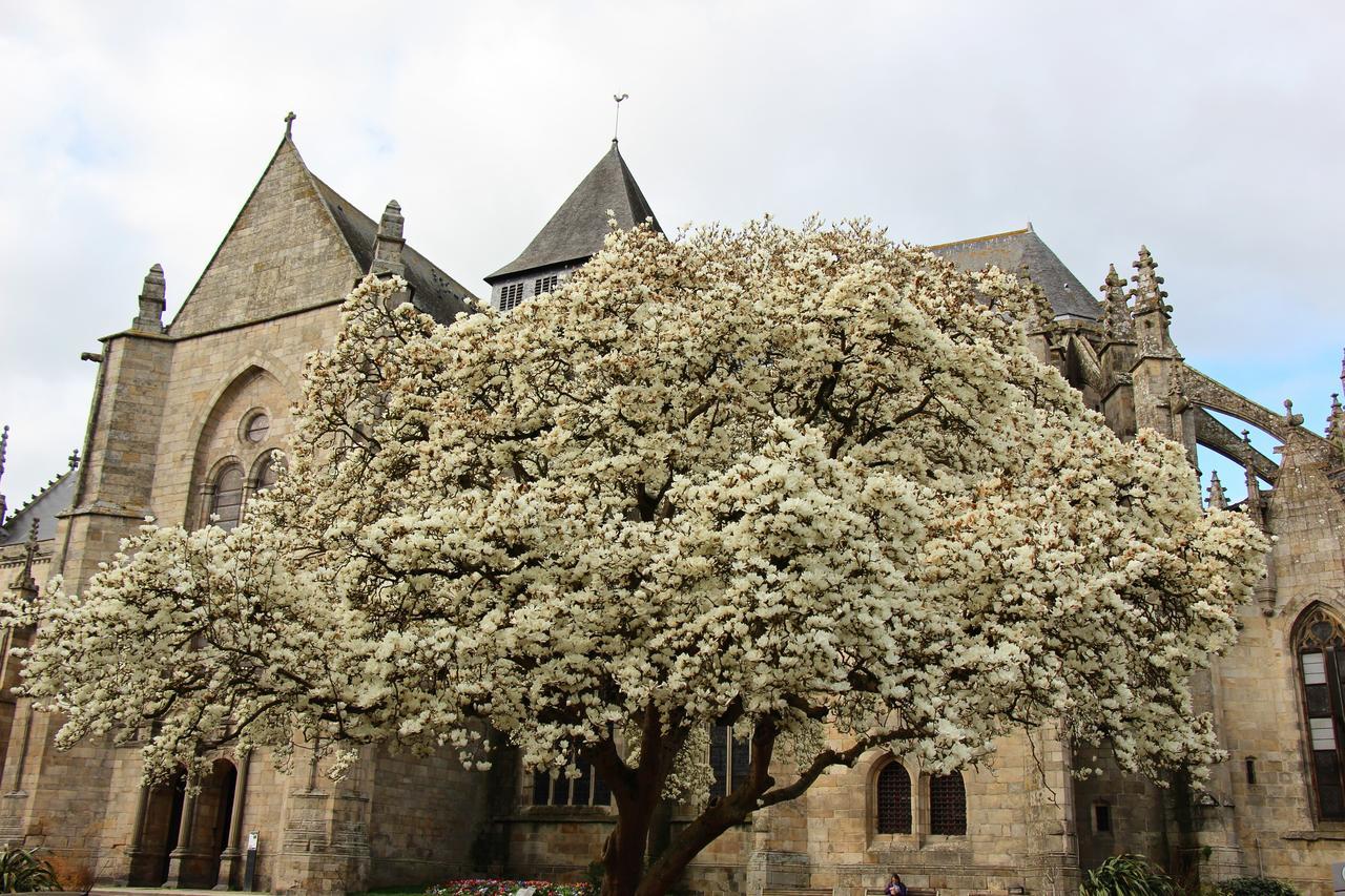 La Tocade Del Arte - Dinan Bed and Breakfast Lanvallay Buitenkant foto
